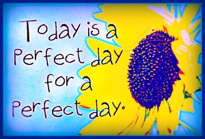 7-todayisaperfectday-pt